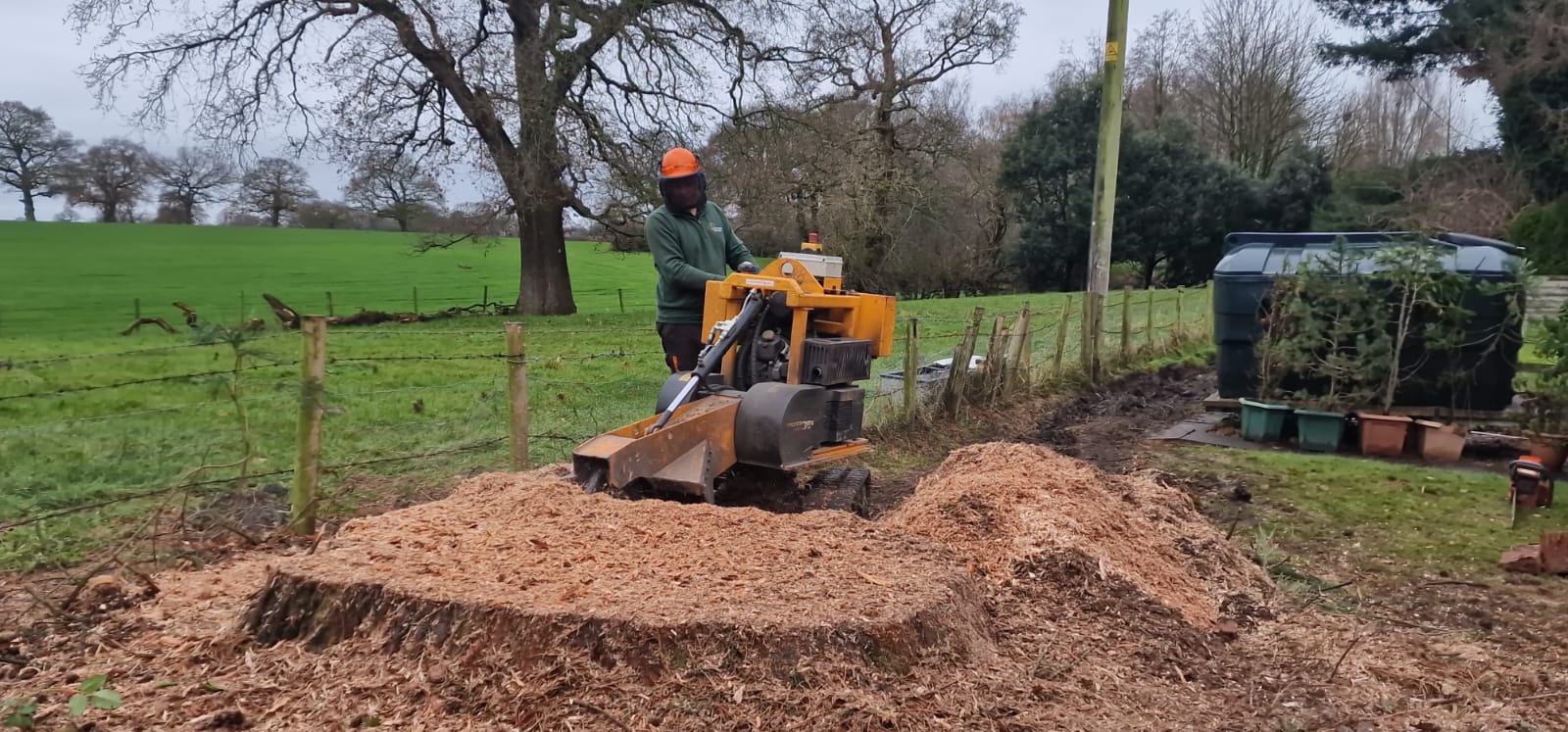 Tree stump removal in Richmond with professional stump grinder
